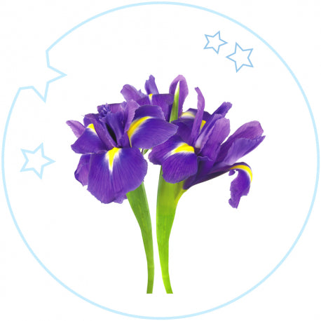 YODEYMA Vaikiški Kvepalai Kids Eau de Parfum 50ml