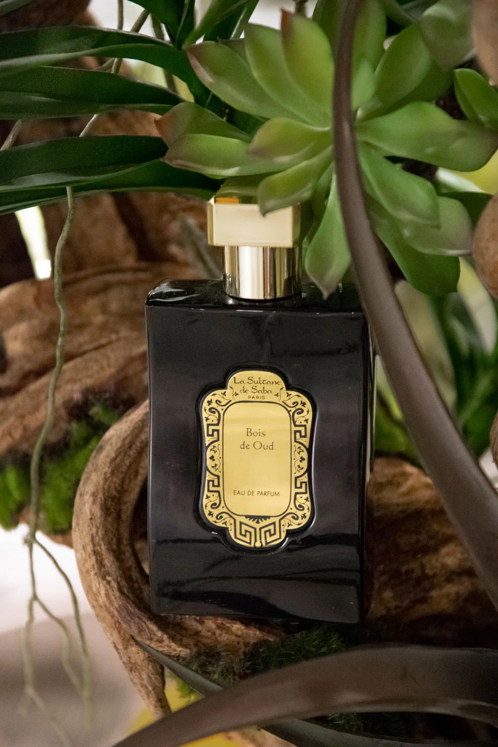 La Sultane de Saba Oud Wood Perfume – mediena – kvepalai