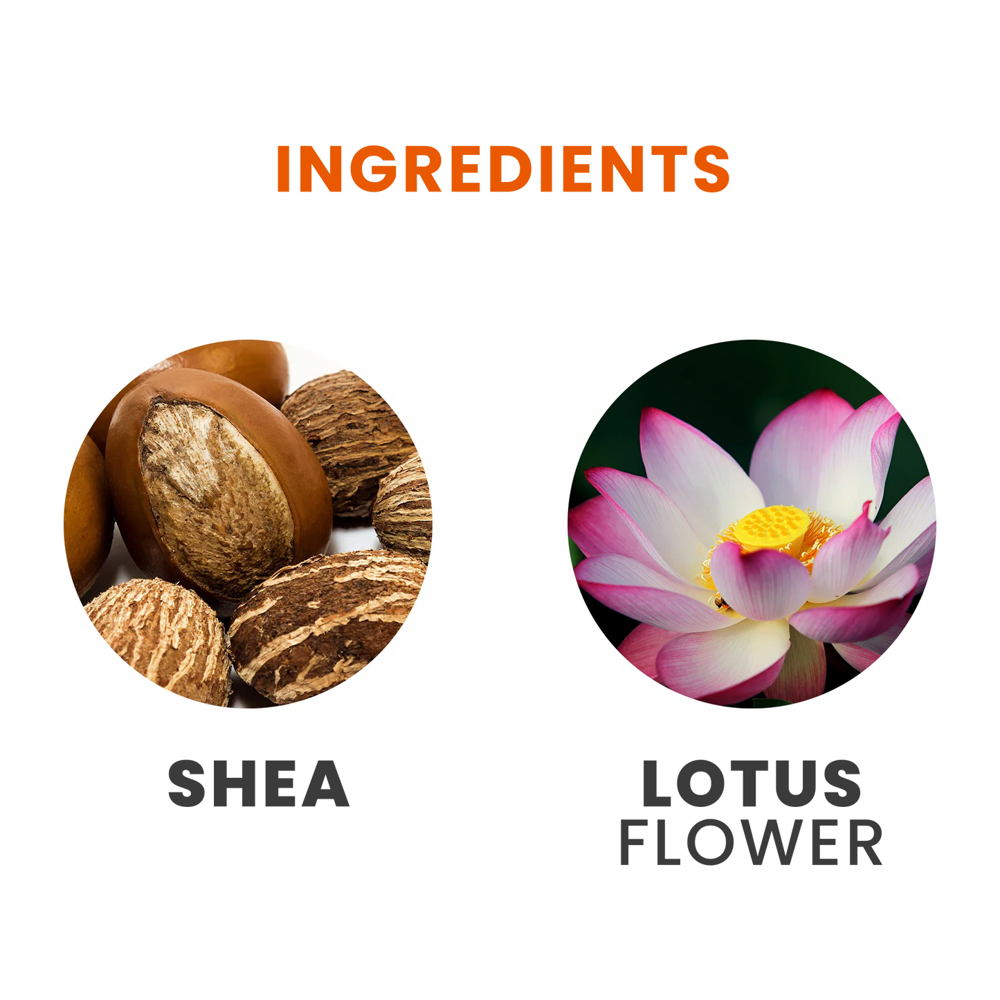 Tesori di Oriente kvepalai, balzamai, geliai, muilai, kremai minkštikliai žvakės ir vonios skysčiai grozioplanas.t