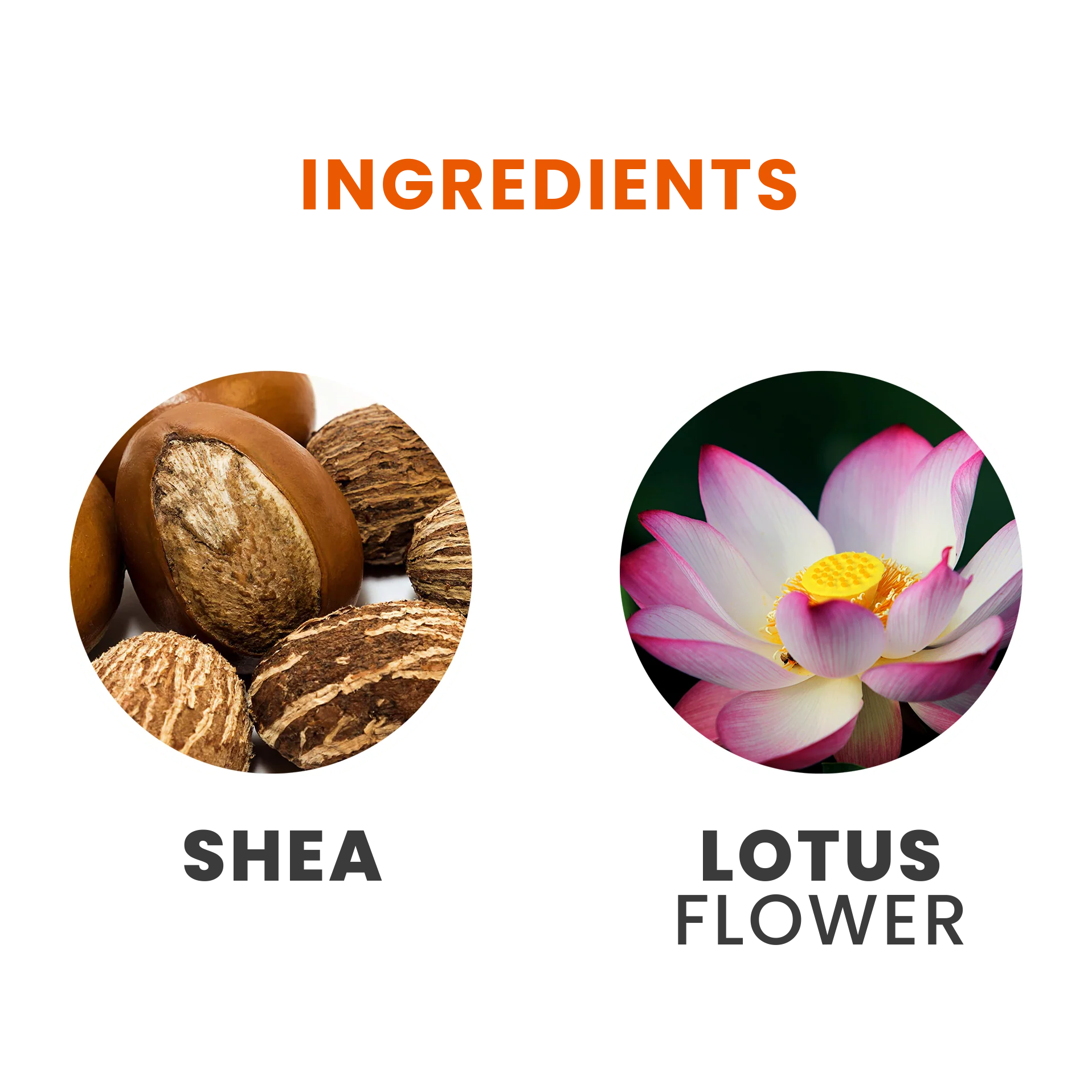 Tesori di Oriente kvepalai, balzamai, geliai, muilai, kremai minkštikliai žvakės ir vonios skysčiai grozioplanas.t