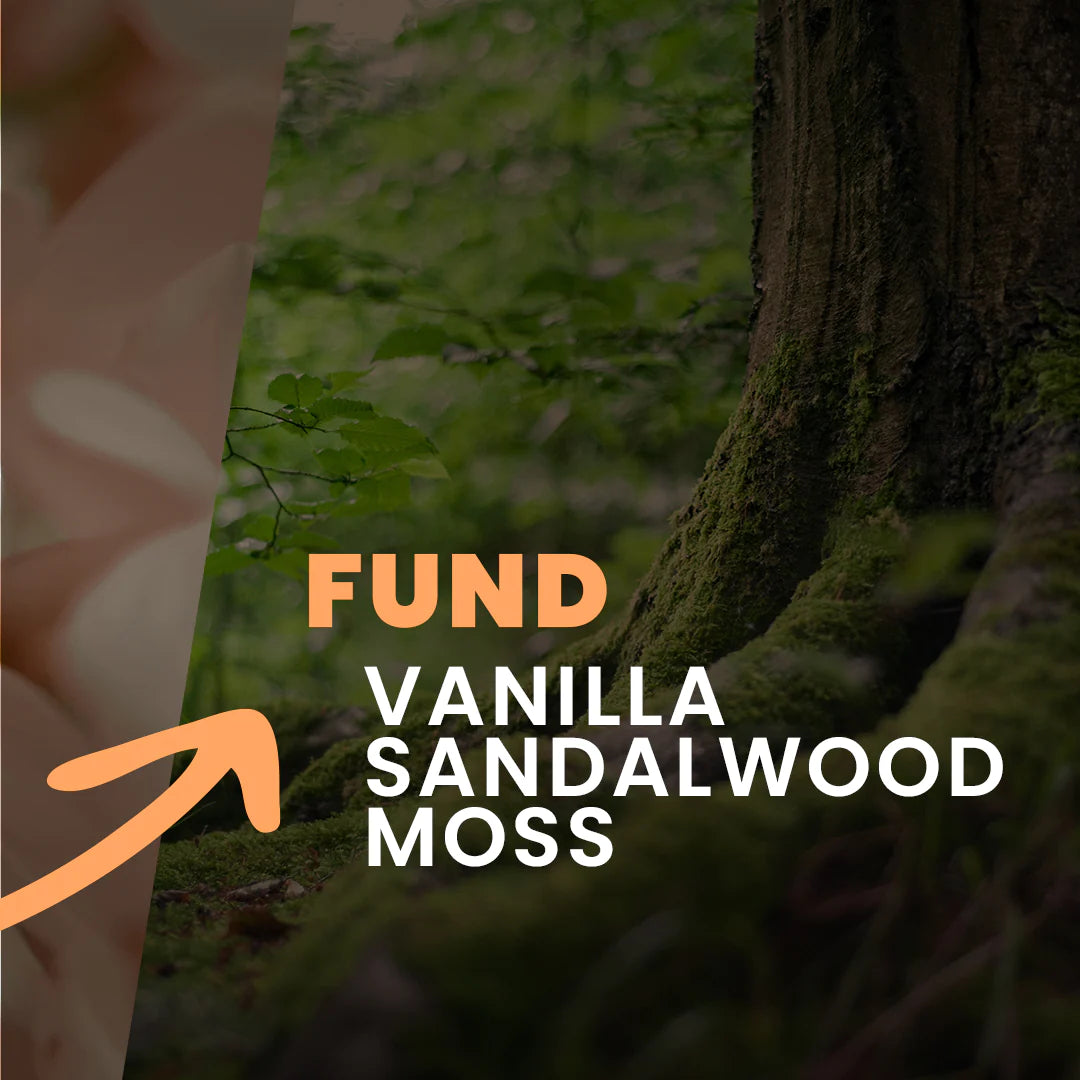 Tesori di Oriente kvepalai, balzamai, geliai, muilai, kremai minkštikliai žvakės ir vonios skysčiai grozioplanas.t