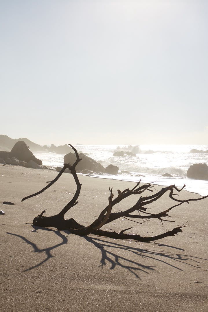 Aliejiniai Kūno Kvepalai | ŽEMĖ grozioplanas.lt