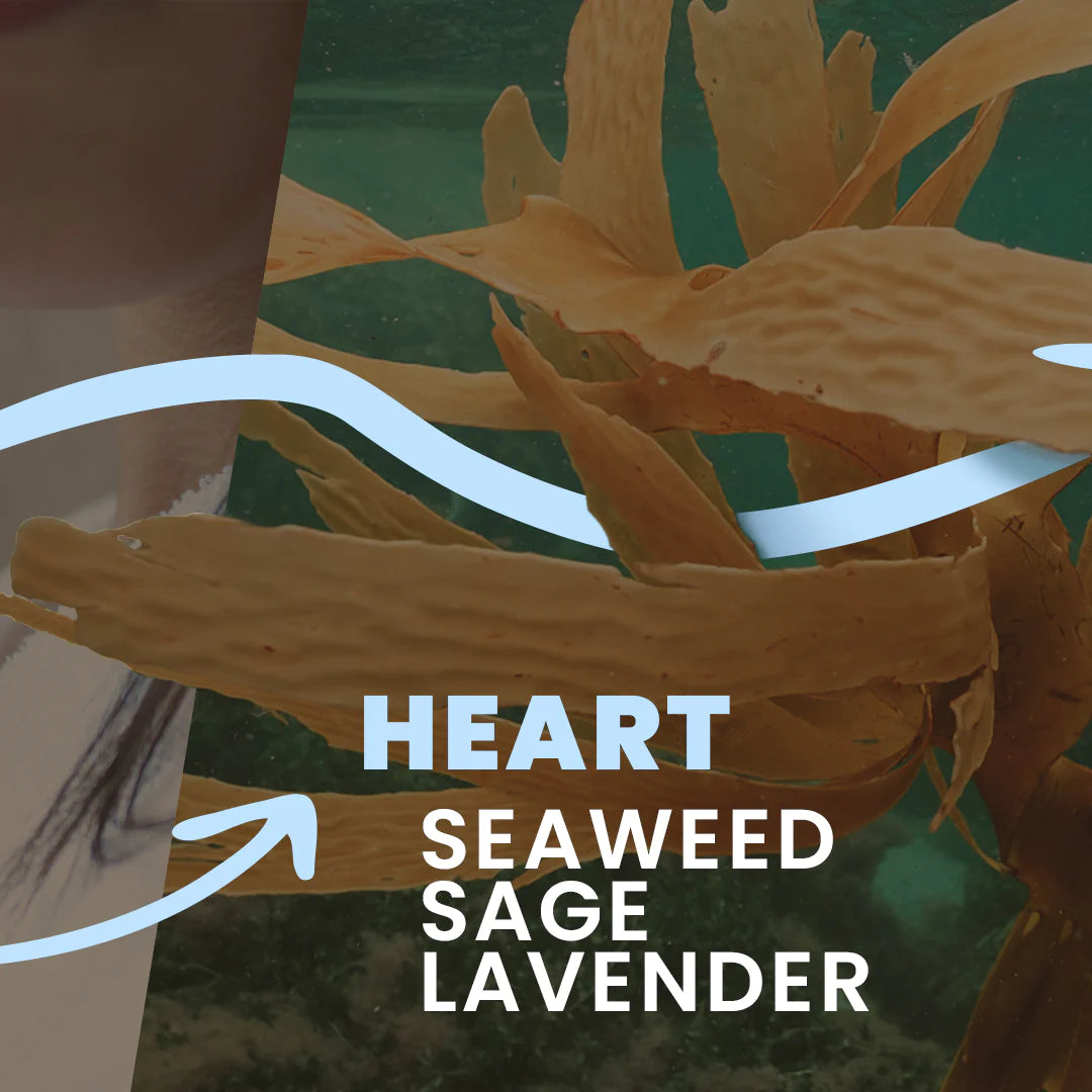 Tesori di Oriente kvepalai, balzamai, geliai, muilai, kremai minkštikliai žvakės ir vonios skysčiai grozioplanas.t