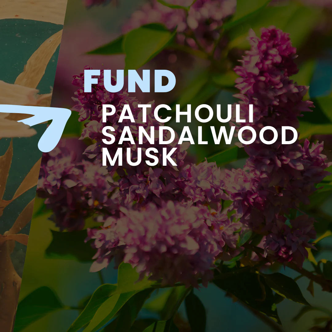 Tesori di Oriente kvepalai, balzamai, geliai, muilai, kremai minkštikliai žvakės ir vonios skysčiai grozioplanas.t