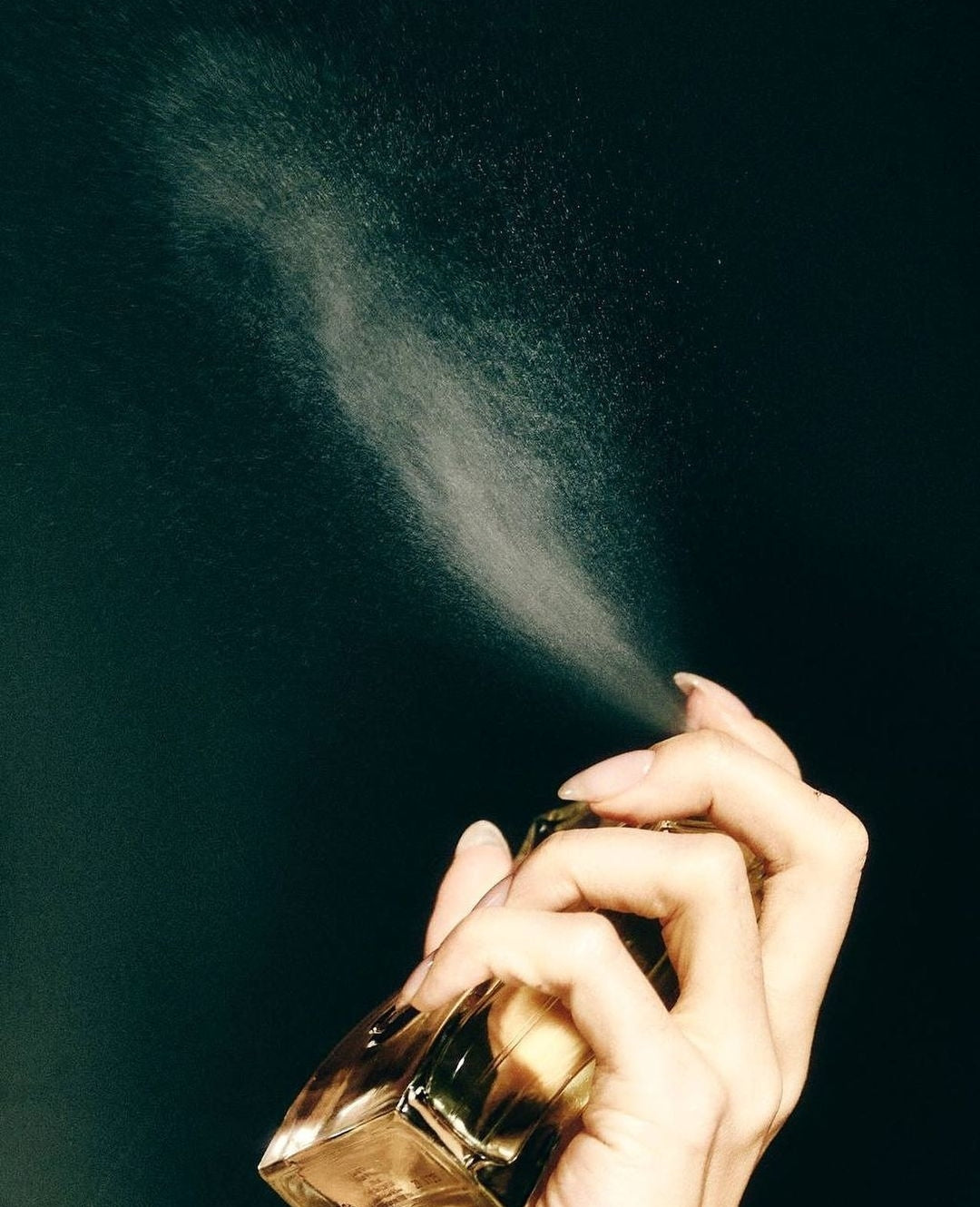 La Sultane de Saba Rose Body Oil – rožė – grožio kūno aliejus