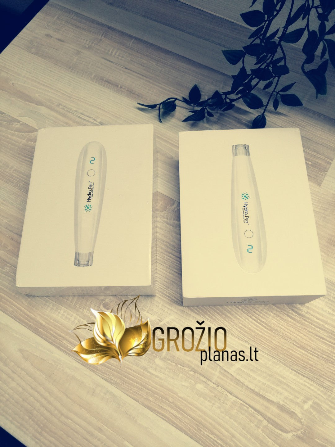 mezo penas - adatines mezoterapijos aparatas grozioplanas.lt