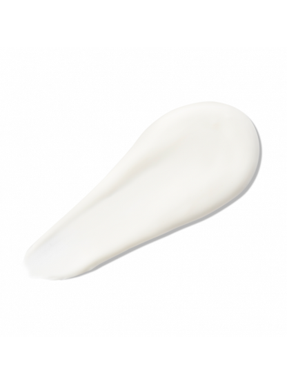 HYDRATING MELTING MASK drėkinanti plaukų kaukė su alijošiumi