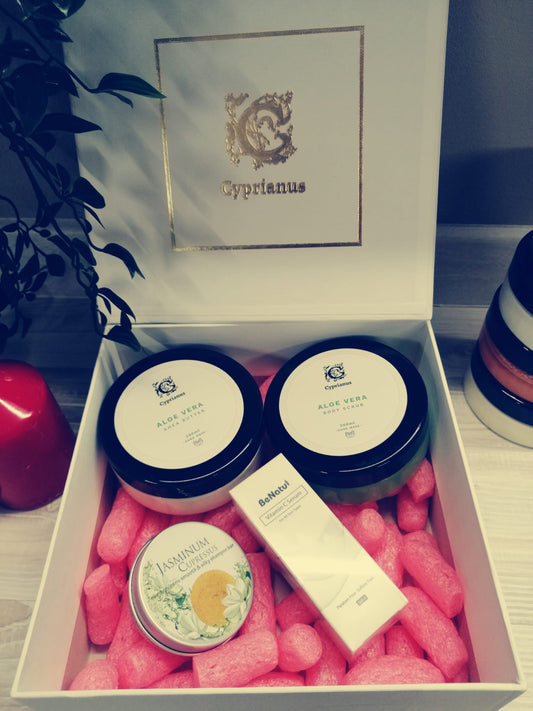 Dovanu rinkinys aloe vera plauku sampunas vitamino C serumas grozioplanas.lt